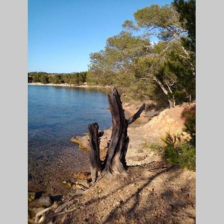 Face Mer Entre Plage Et Marina 博尔马斯·莱斯·米默萨斯 外观 照片