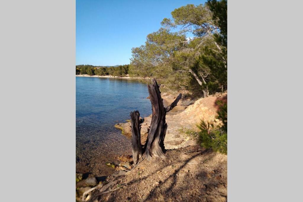 Face Mer Entre Plage Et Marina 博尔马斯·莱斯·米默萨斯 外观 照片